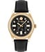 Philipp Plein  PWCDA0224 Damenuhr Queen 38 mm