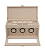Windrose  Uhrenbeweger Luxora für 3 Uhren Beige/Gold mit Zusatzfach 45,7 × 23,2 cm
