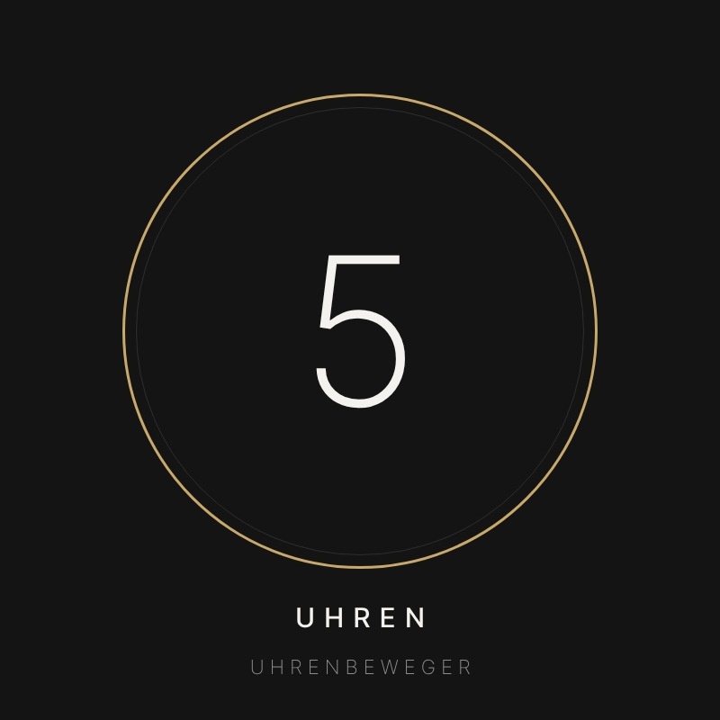 Uhrenbeweger für 5 Uhren