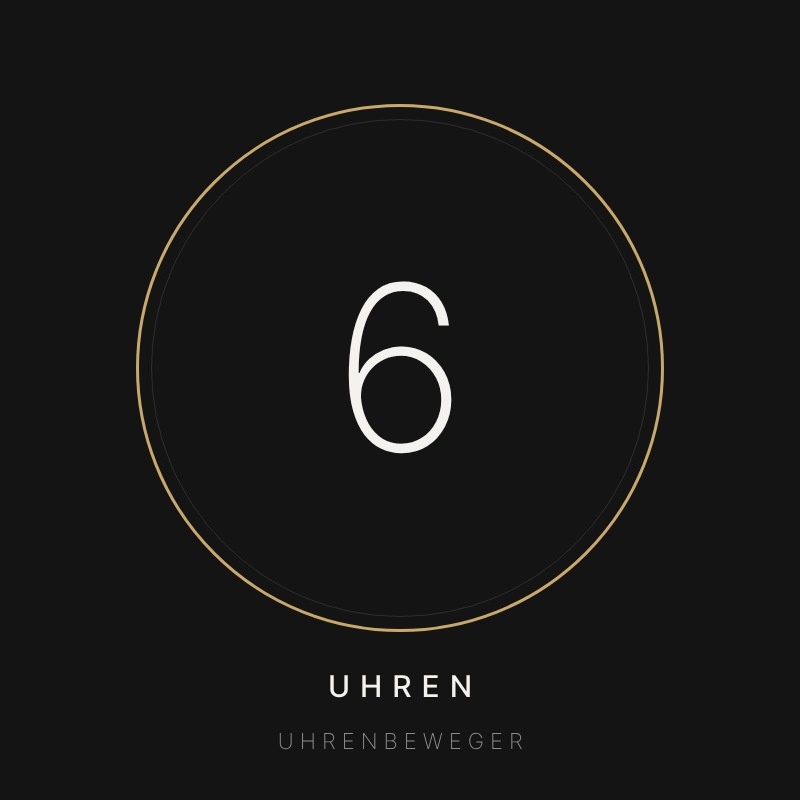Uhrenbeweger für 6 Uhren