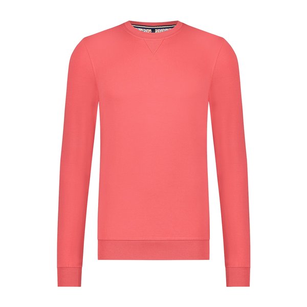 R2 Roter Pullover