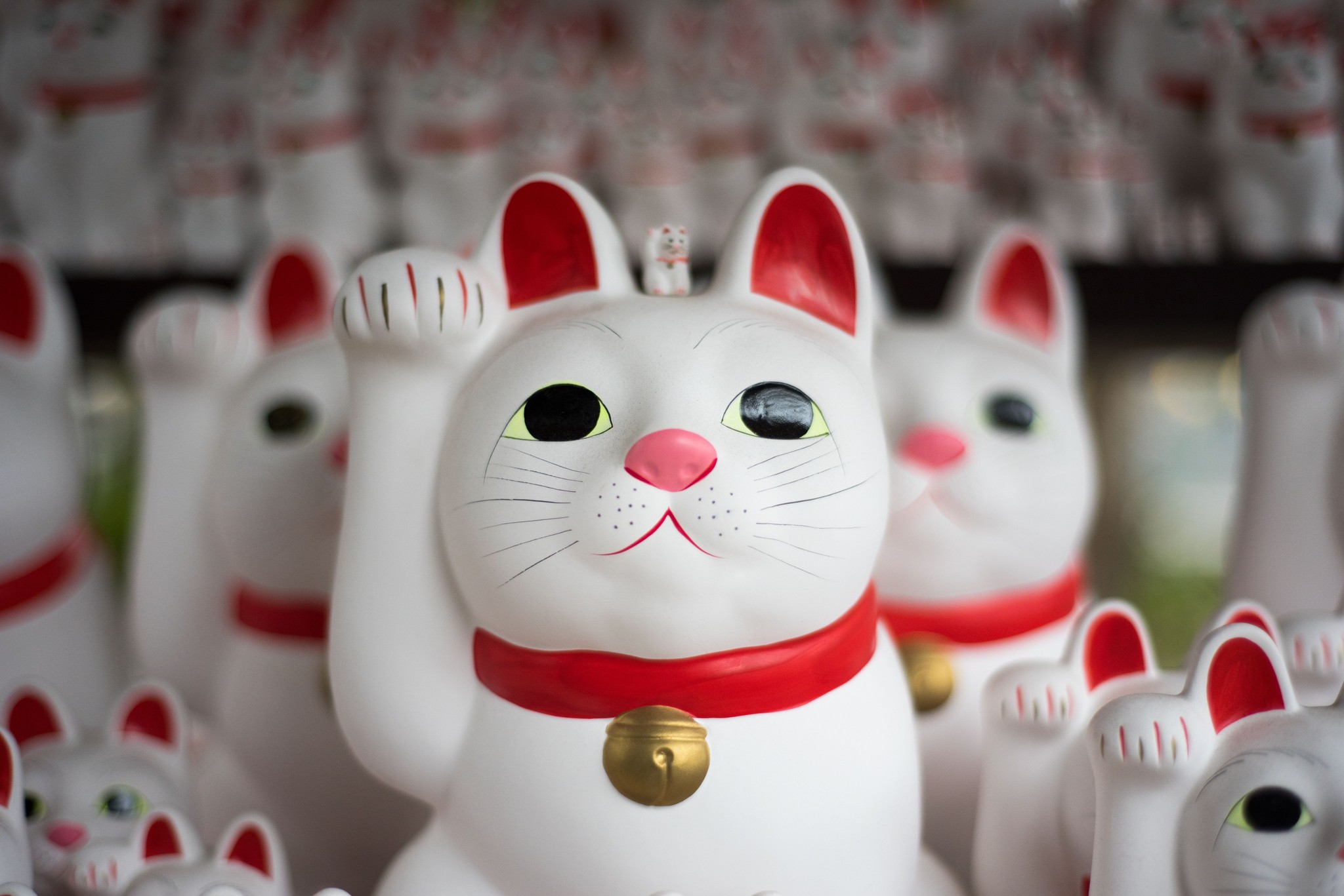 Maneki Neko de Japanse Lucky Cat