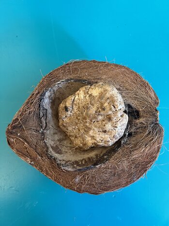 Alata Samina soap Alata Samina soap