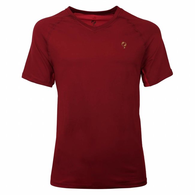 Q1905 Men's Tee Brush mesh Q Sundried Tomatoes