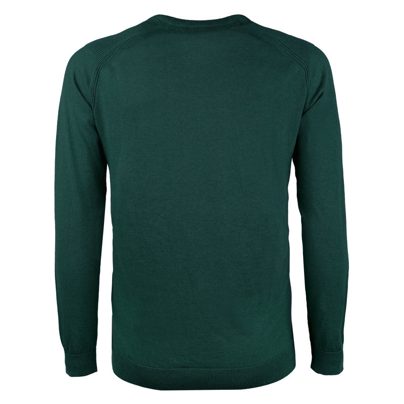 Зеленые свитеры мужские. Зеленый джемпер мужской. Зеленая водолазка мужская. Салатовая водолазка мужская. Джемпер мужской цвет зеленый.