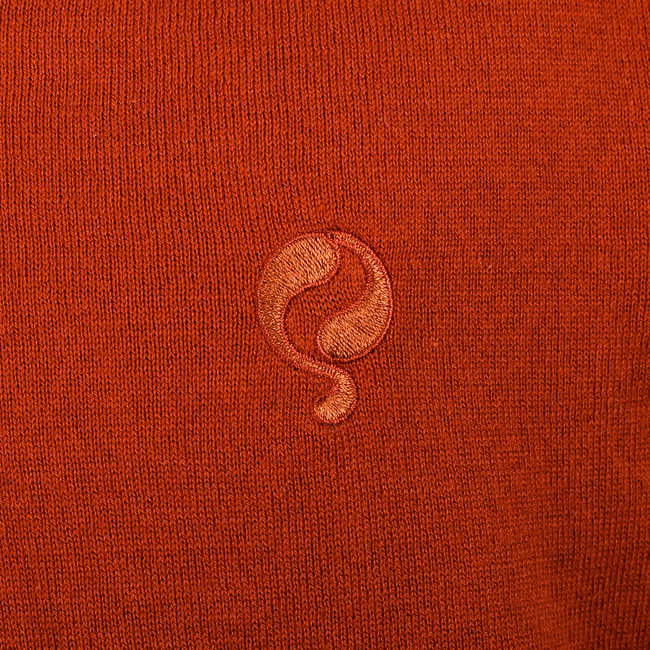 Heren Trui Heemskerk - Roest Oranje