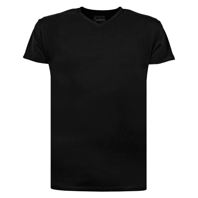 Q1905 Heren T-shirt Diemen  -  zwart