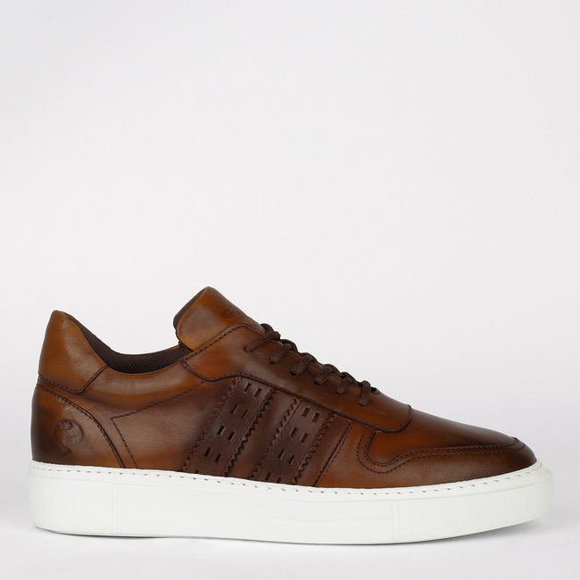 Q1905 Men Sneaker Best - Cognac