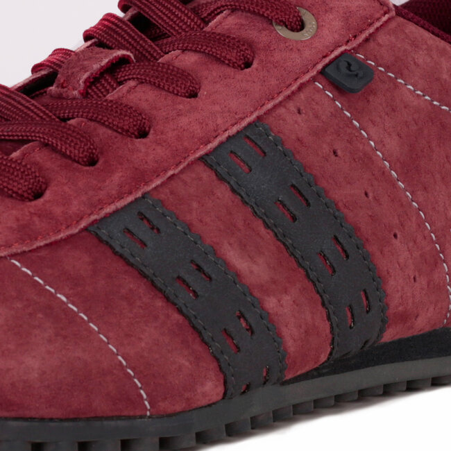 Men's Sneaker Typhoon SP - Bordeaux Red/Dark Blue