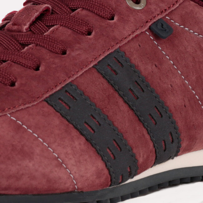 Heren Sneaker Typhoon SP - Bordeauxrood/Donkerblauw/Wit