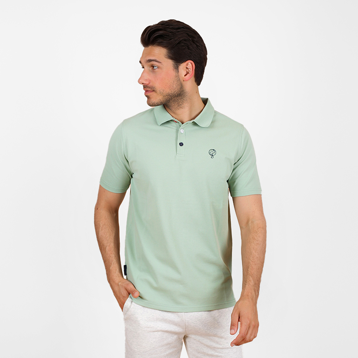 Heren Polo Willemstad | Lichtgroen afbeelding