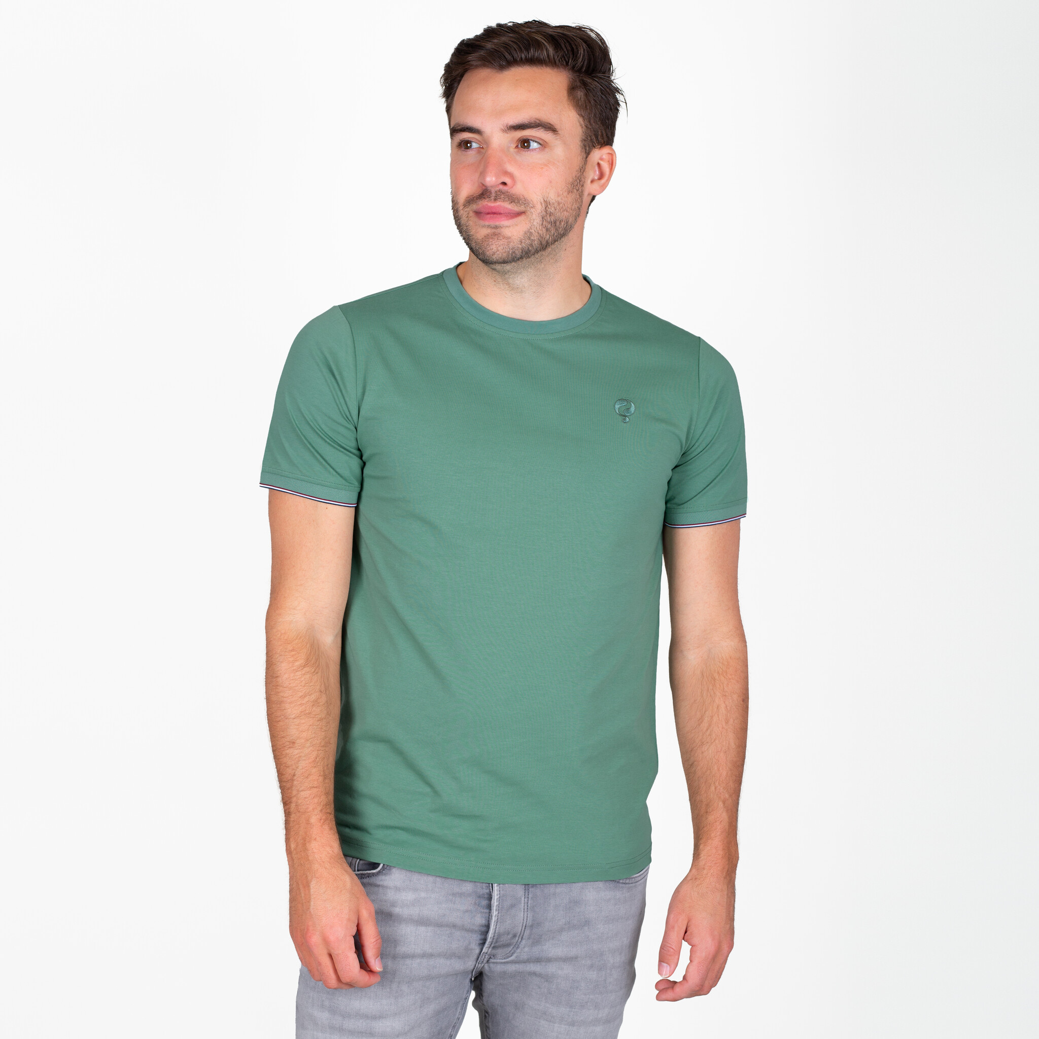 Heren T-shirt Dronten | Bladgroen