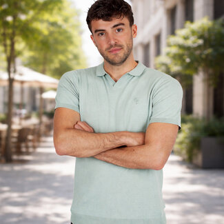 Q1905 Men's Polo Enter - Mist Green