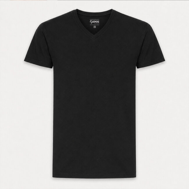 Heren T-shirt 2-Pack Steyl - Zwart/ Zwart