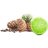 Bath House Baardolie Cedar & Lime 30 ml Bath House Baardolie Cedar & Lime 30 ml