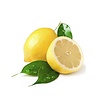Bath House Body Wash Citrus Fresh 260 ml Bath House Body Wash Citrus Fresh 260 ml