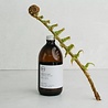 Bath House Badschuim Bergamot & Amber 500 ml Bath House Badschuim Bergamot & Amber 500 ml