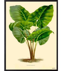 Poster GREEN PLANT | 30x40cm