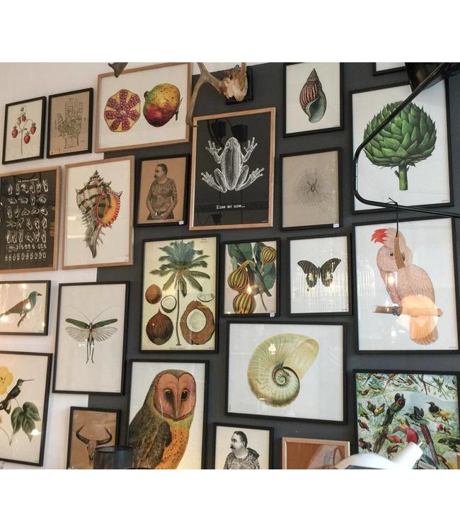 Print  SPIN | kraft  | 20x25cm