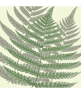 Tile Sticker Fern | Full Coverage