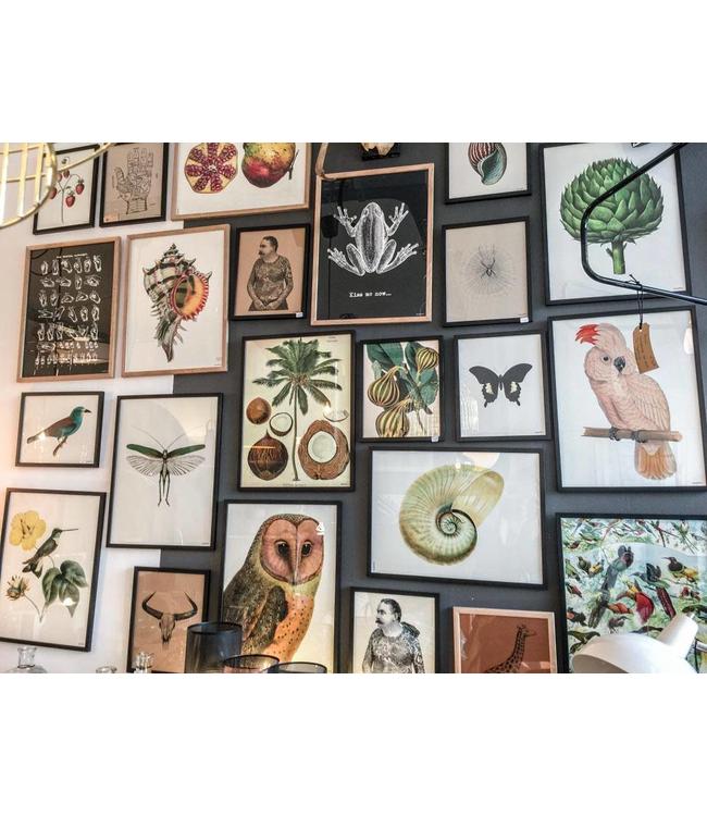 Print  MAN WITH HORN | kraft