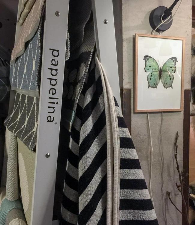 Macro photo Poster | Salamis parhassus