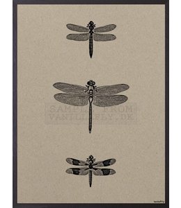 Poster 3 Dragonflies  | 20x25