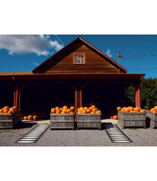 Rug, Carpet Ella Warm Grey