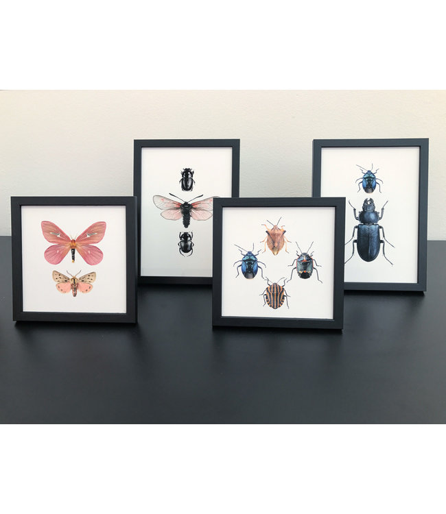 Fotoprint Mot Vlinders | 15x15 cm | in lijst