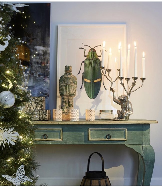 Macro photo Poster Purple Coneflower A4