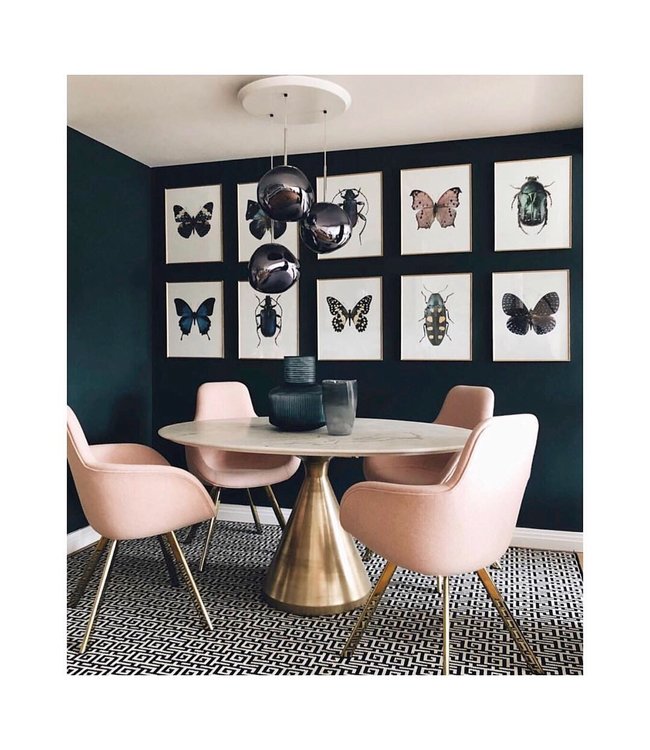 Macro photo Poster Echinacea Purpurea Alba 30x40cm