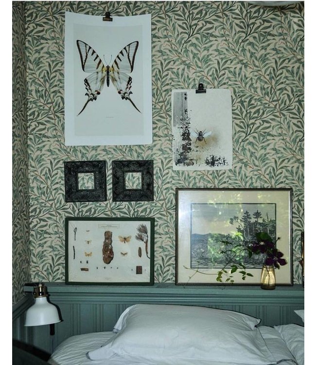 Macro photo Poster Echinacea Purpurea Alba 30x40cm