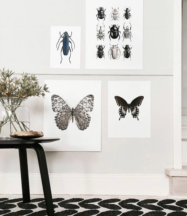 Macrofoto Poster | Beetles Black & White