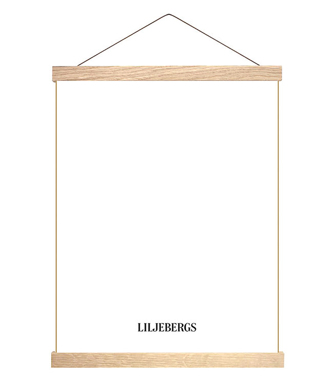 Collage Poster Black Bugs and butterflies in black