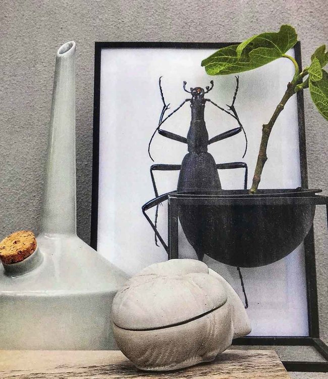 Collage Poster Black Bugs and butterflies in black