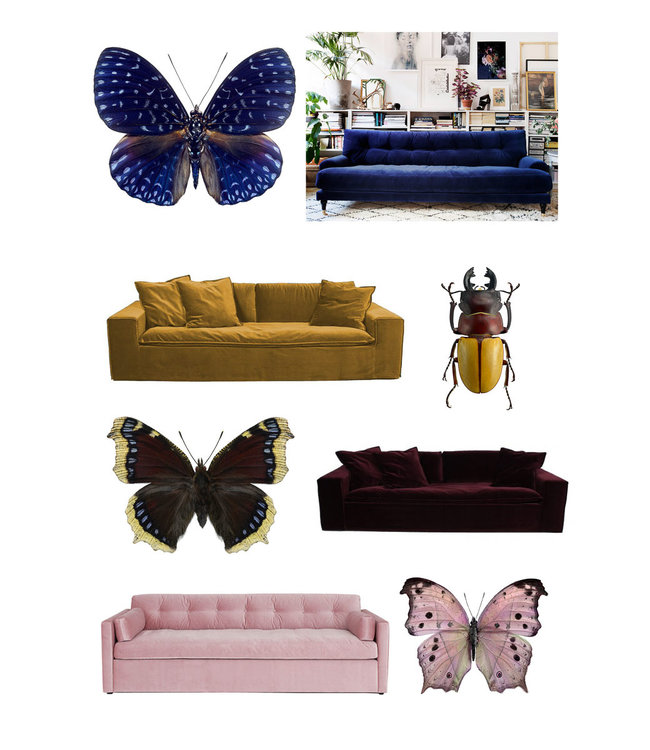 Macrofoto Poster | Chrysina strasseni | Glimmende kever