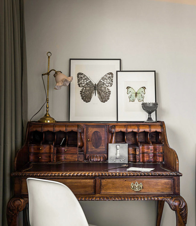 Macrofoto Poster Bug | Goliathus orientalis