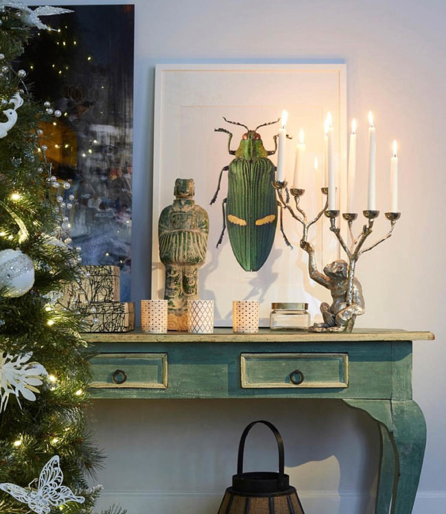 Macrofoto Poster Bug | Goliathus orientalis