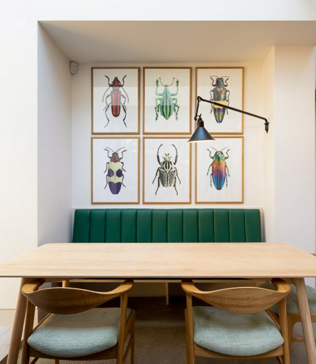 Macrofoto Poster | Eupholus cuvieri | green bug