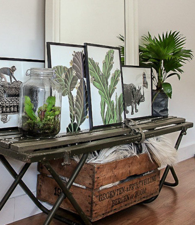 Print Plant Succulent