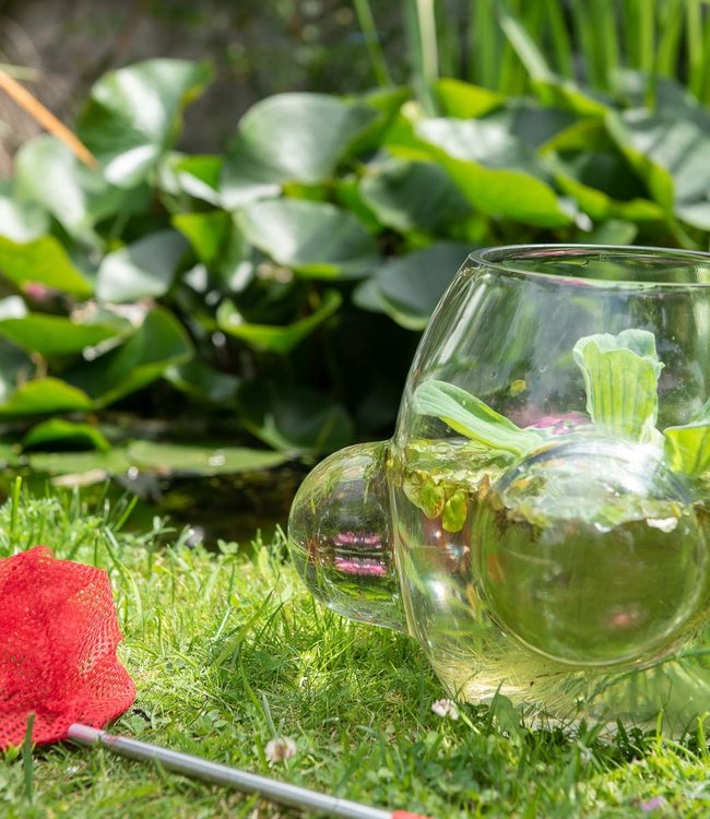 Weltevree Local Habitat Eco System, vase or terrarium