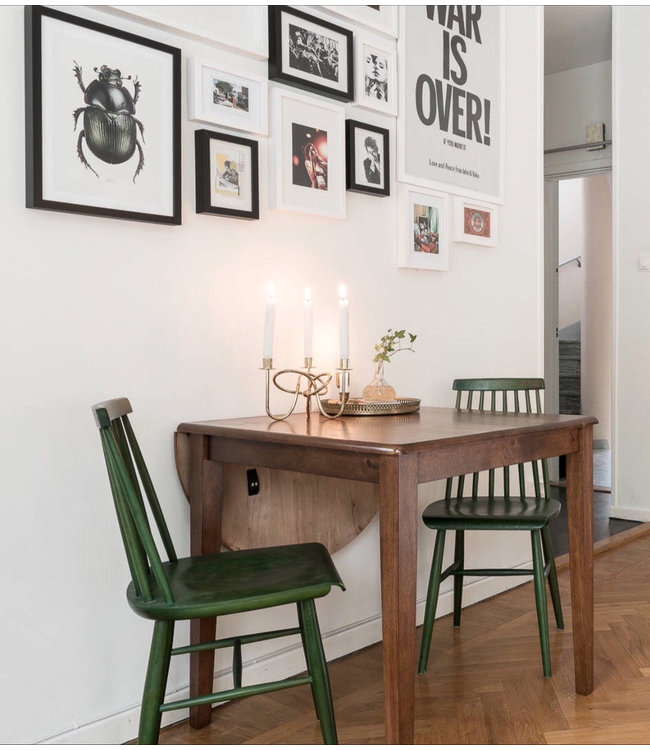 Trichius fasciatus met pastel blauwe achtergrond A4