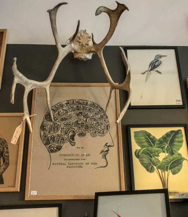 Print  SYMBOLICAL HEAD | 30X40 cm