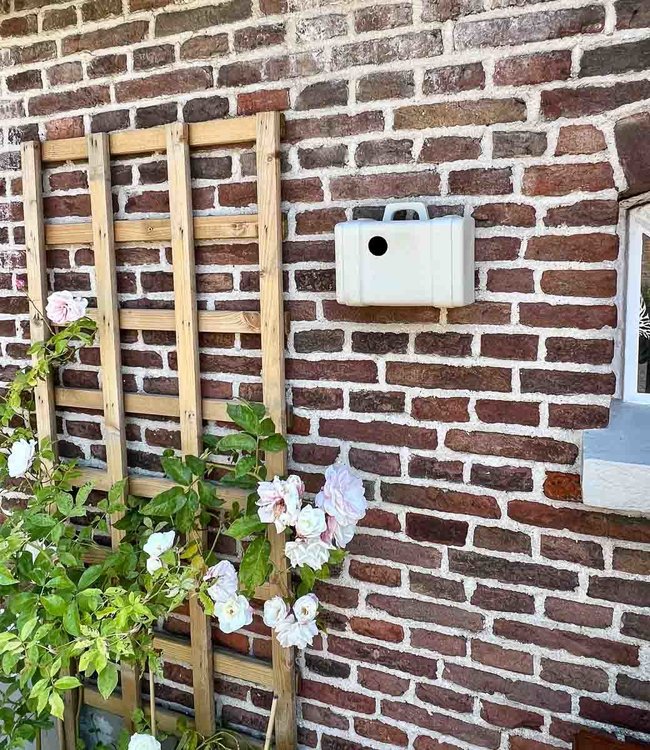 Cor Unum Nestkast Postduif, brievenbus