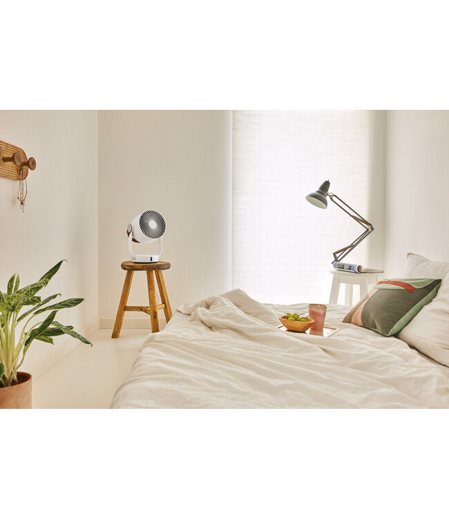 Stadler Form Leo Fan 3D Ventilator met timer