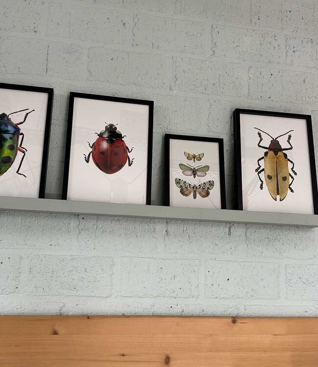 Groene vlinders | A5 | in zwarte lijst