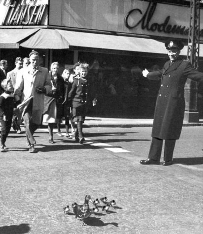 Architectmade Duck Wooden Bird