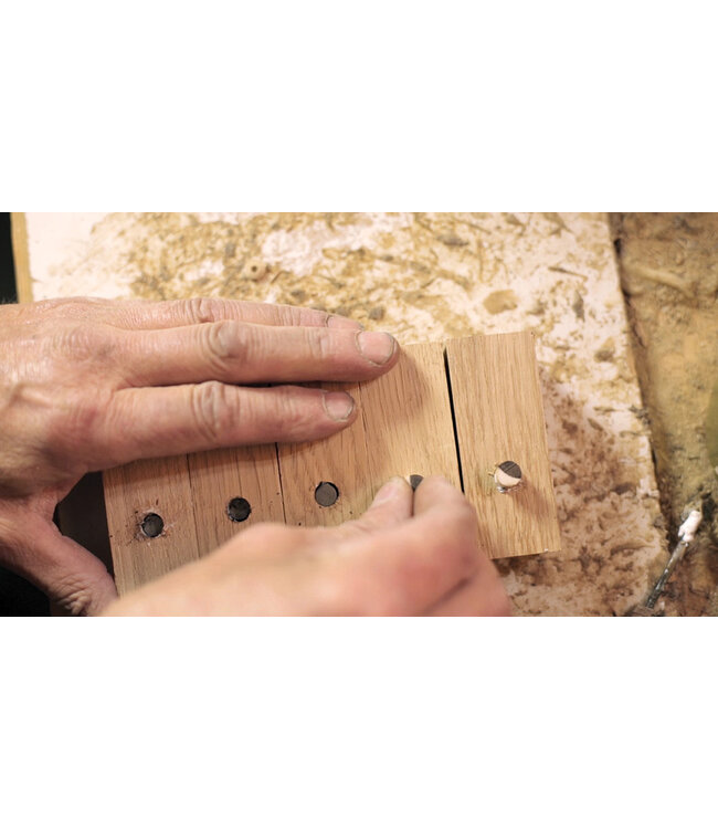 Architectmade Bird Large in eiken