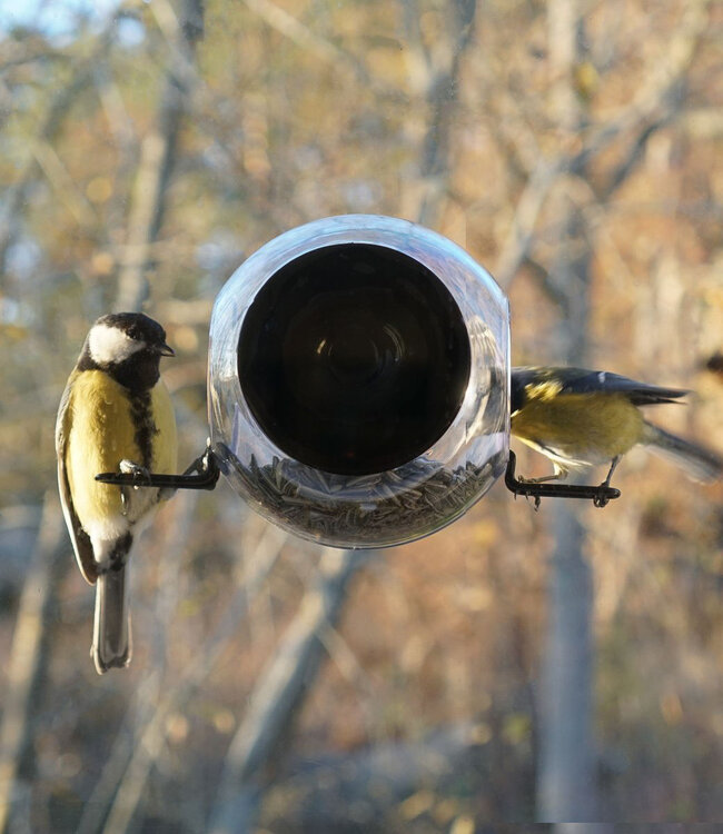 Born in Sweden Vogelvoeder set