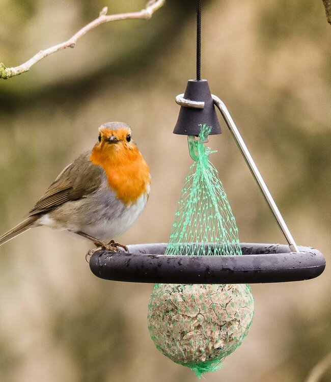 Born in Sweden Fatballhanger Tuinvogels